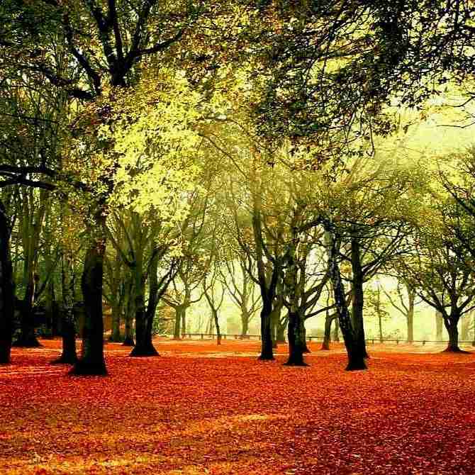آهنگ جدید سنا برزنجه بونی تو